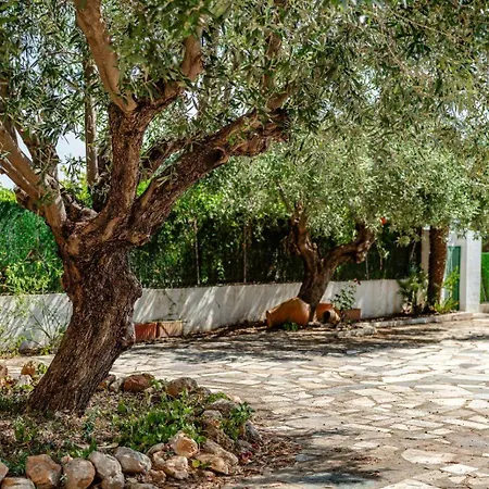 Benicolada - Grupo Turis *