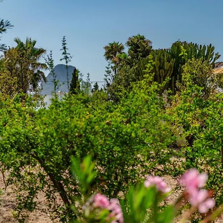 Benicolada - Grupo Turis Κάλπε