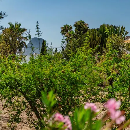 Benicolada - Grupo Turis *