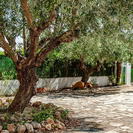 Benicolada - Grupo Turis Willa