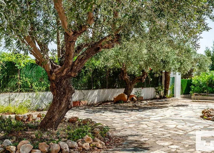 Benicolada - Grupo Turis Villa